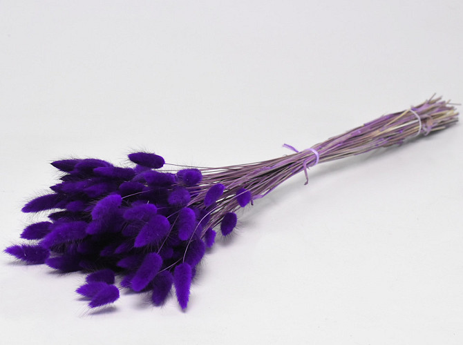 Bouquet Lagurus Violet 65cm