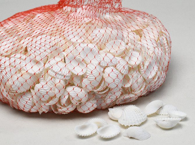 Muscheln White Chippi Small 1Kg