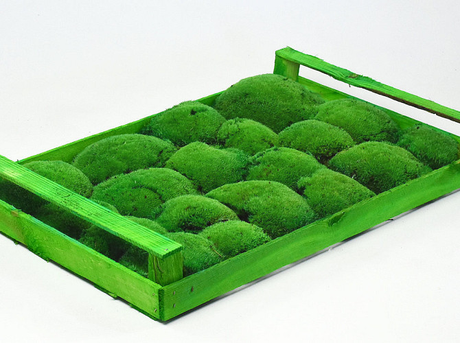 Cushion Moss Green (Crate 38x58cm)