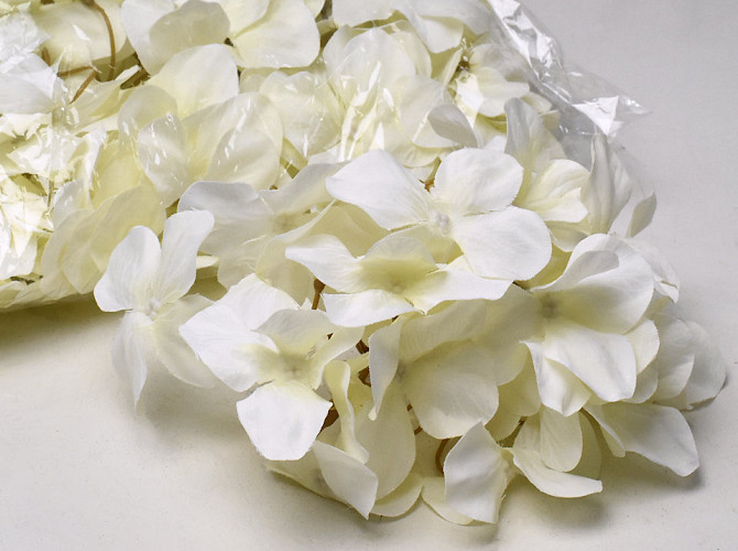 Hydrangea Head Cream D16cm