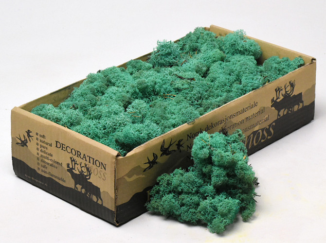 Reindeer Moss Pacific Green 500g.