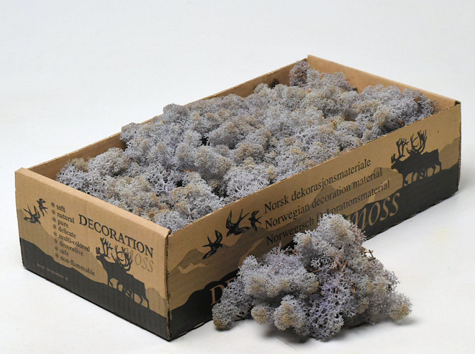 Reindeer Moss Lavender 500gr.