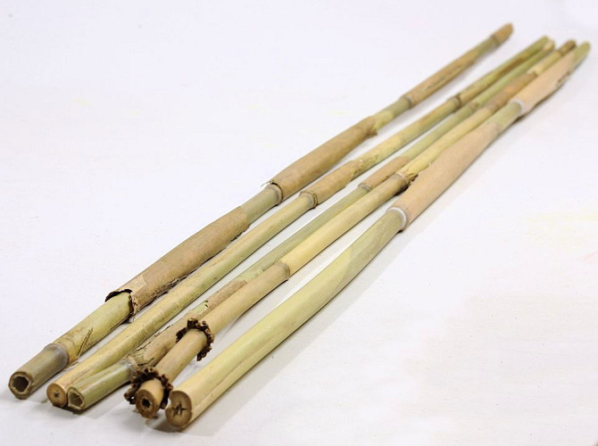 Bamboo Sticks 115cm