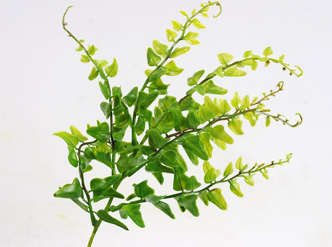 Artificial Fern 33cm