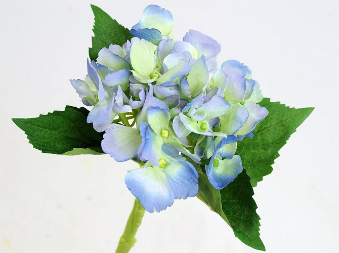 Hydrangea 35cm blue