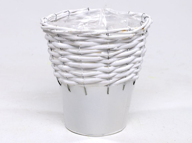 Basket willow 18cm