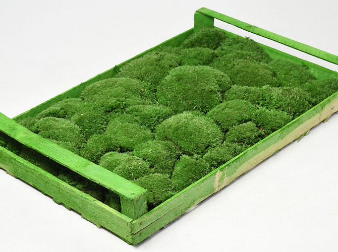 Cushion Moss Forest Green (Crate 38x58cm)