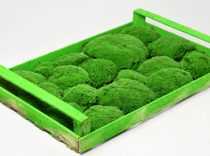 Cushion Moss light Green (Crate 38x58cm)