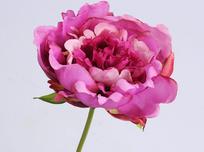 Peony Rose 25cm dark Pink
