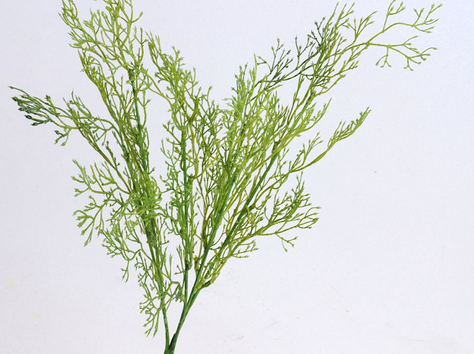 Bamboo Leaf 48cm green
