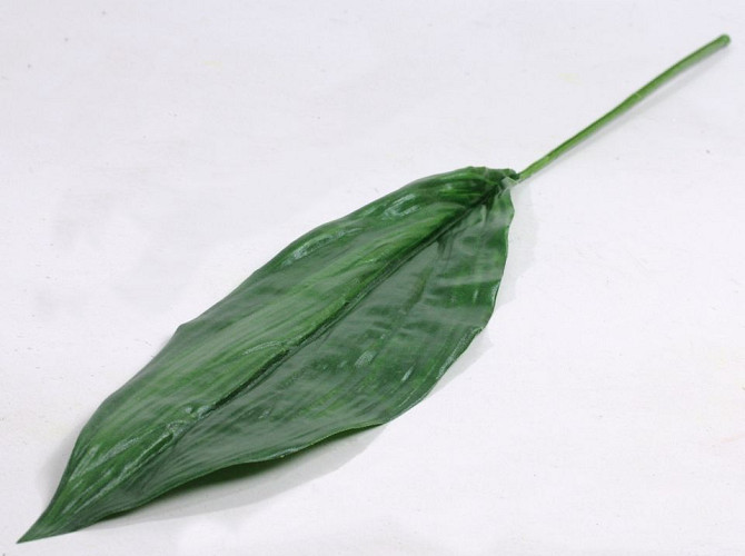 Aspidistra Leaf 83cm