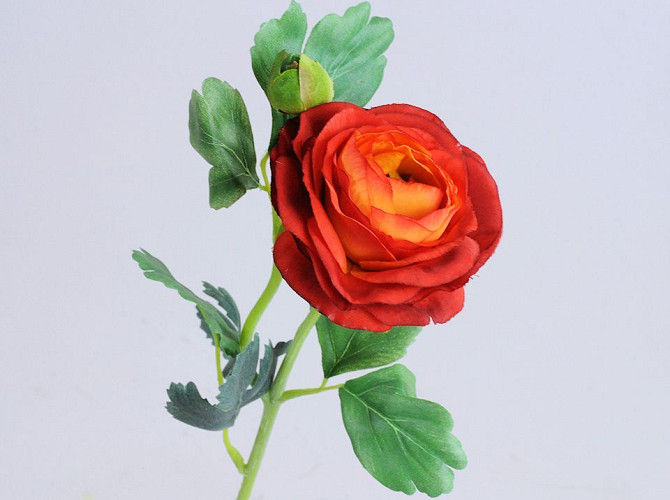 Ranunculus 43cm red