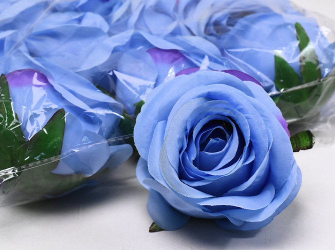Rose Bleu D9cm