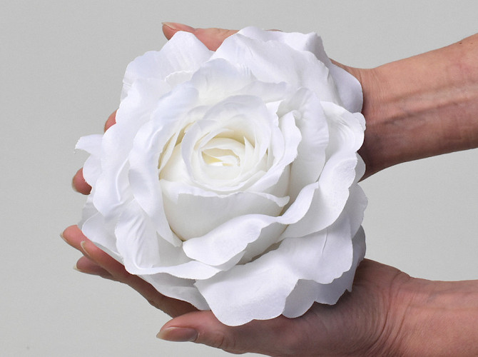 Rose Satin D20cm Weiß