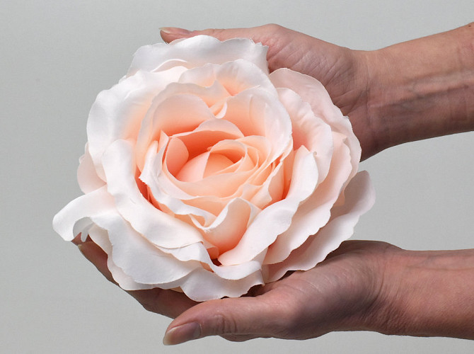 Rose Satin D20cm Rosa