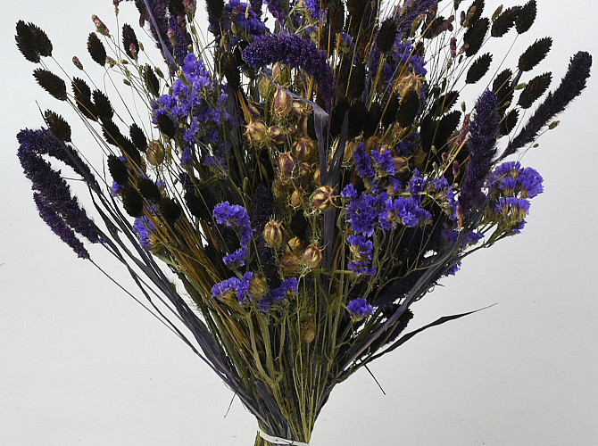 Bouquet de Fleurs Sechées Violet XL