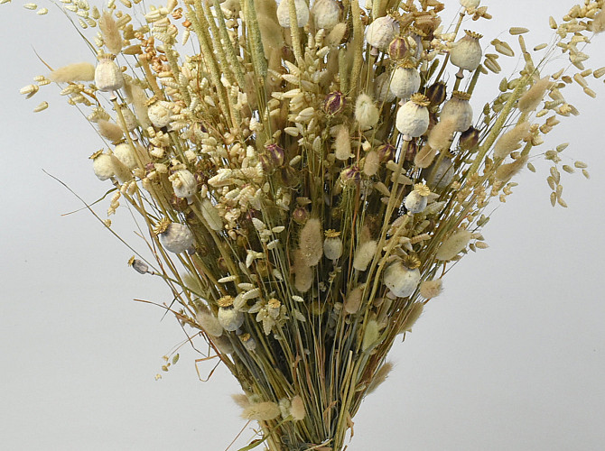 Dried Flower Bouquet Natural XL