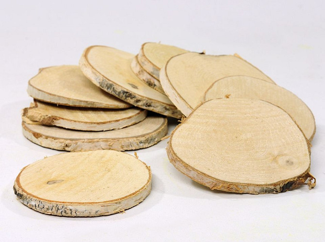 Birch Slice Dia9cm 10-pack