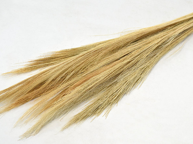 Broom Grass 100gr. Ekru