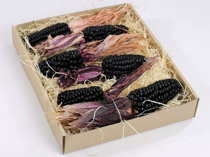 Corn black Ø4-5cm 6-pack