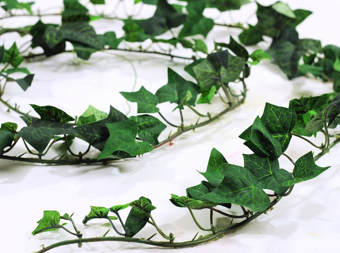 Garland Hedera 180cm