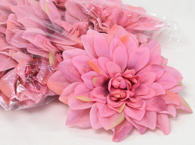 Dahlia Rose Pastel D20cm 