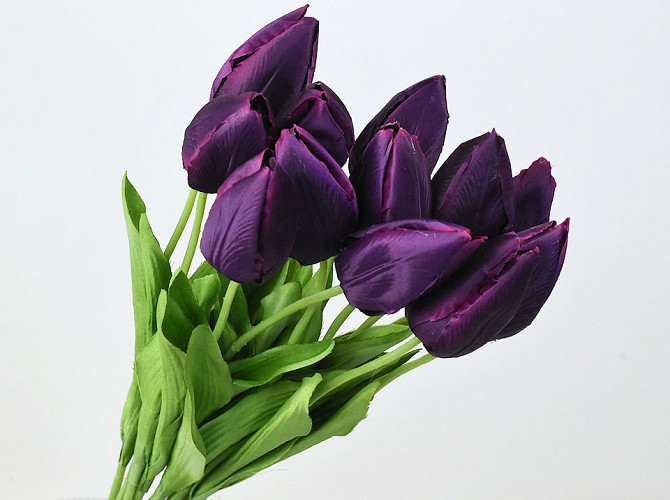 Tulip Purple 50cm 