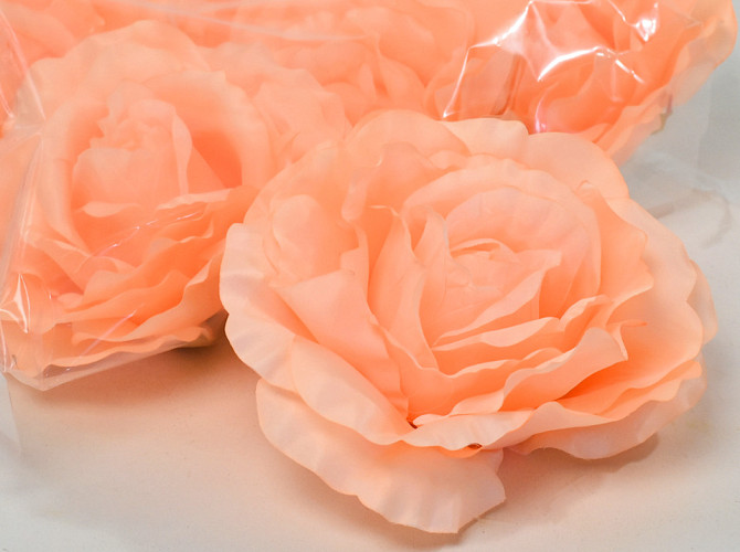 Rose Peach D21cm