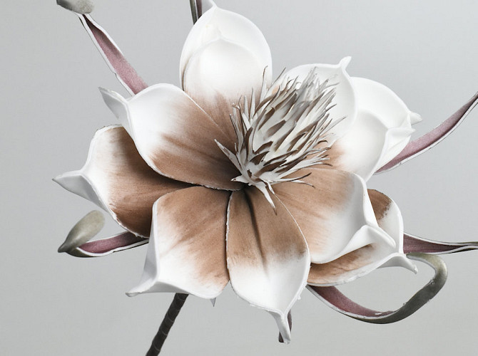 Foam Flower White-Mocca, D 20cm