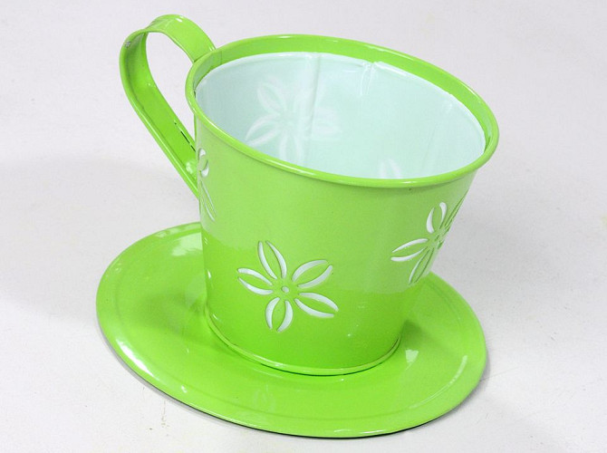 Cup and Saucer D16cm Green