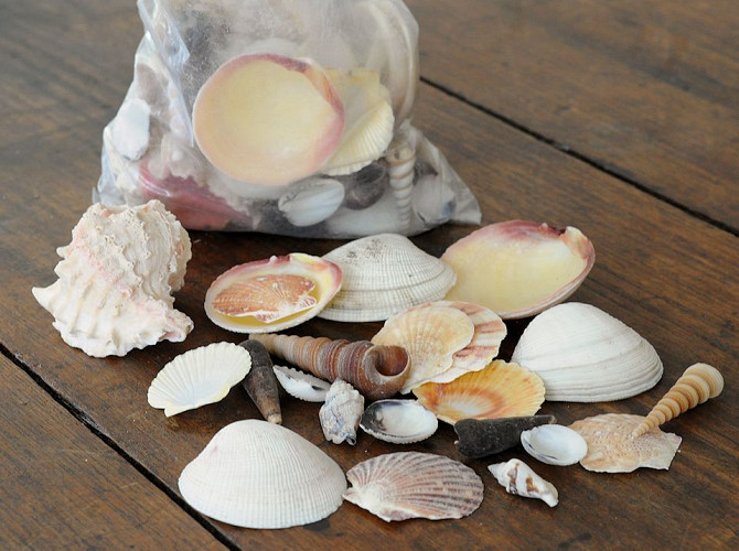 Muscheln Mix 1Kg