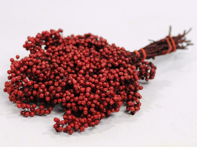 Pepperberries Rouge 25-35cm