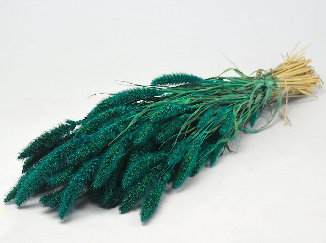 Setaria Emerald Green 65cm