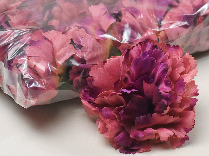 Dianthus Violet/Rose D9cm 
