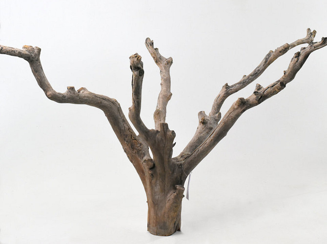 Tee Baum 65cm