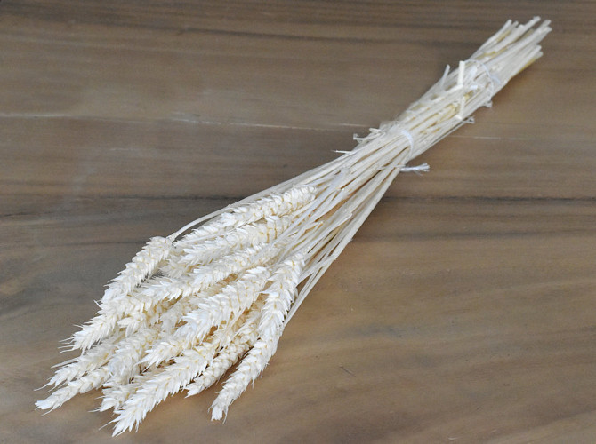 Triticum Bleached (wheat) 70cm