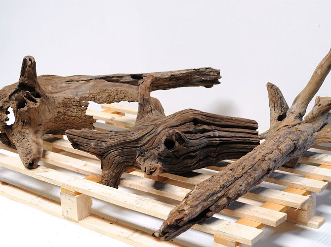 Driftwood Stump 9-11Kg