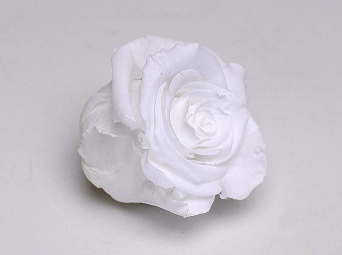 Rose Heads 5cm White