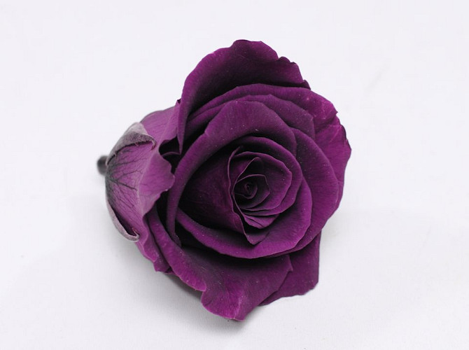 Rose Heads 5cm Purple