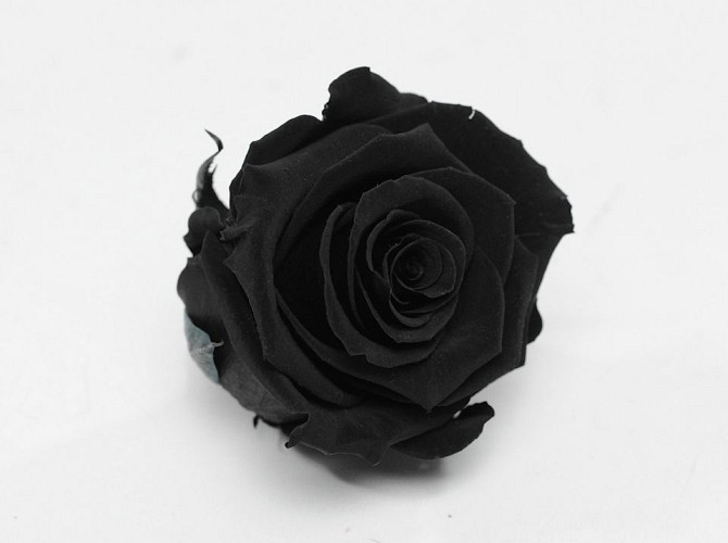 Rose Heads 5cm Black