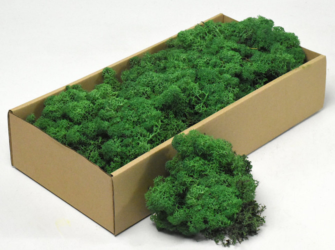 Reindeer Moss Grass Green 500g.