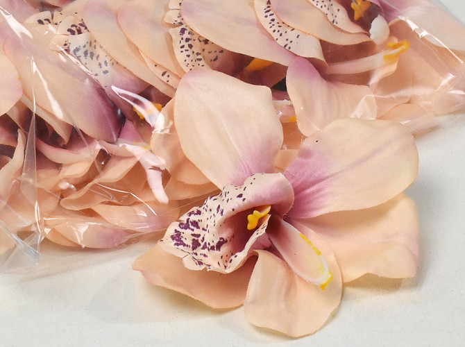 Orchid Pink/Peach D13cm 