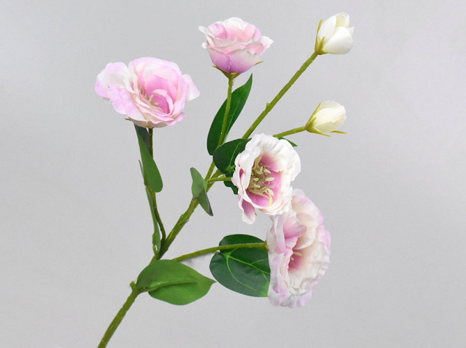 Artificial Lisianthus Light Pink 78cm 