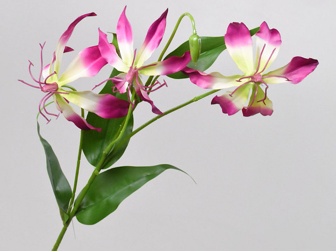 Artificial Gloriosa Pink 80cm 