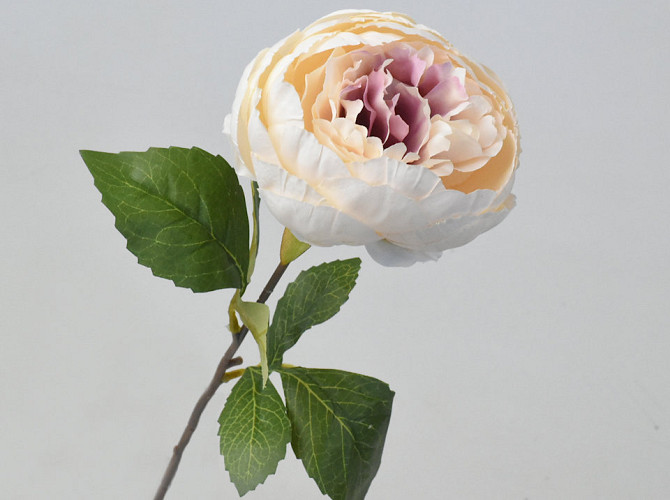 Artificial Peony Cream 42cm 