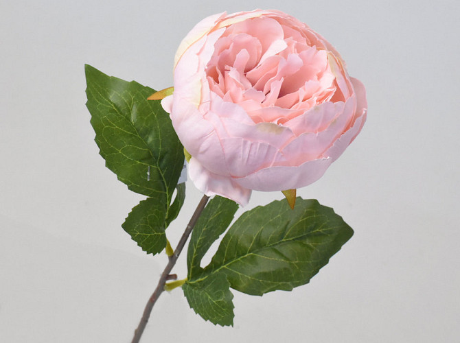 Künstliche Pfingstrose Rosa 42cm 