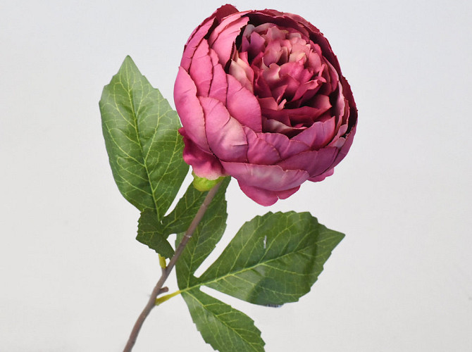 Artificial Peony Dark Pink 42cm