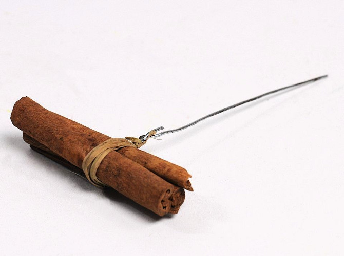 Cinnamonpossy on wire