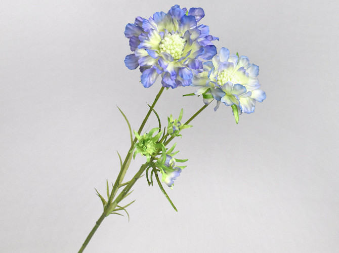 Artificial Scabiosa Blue 84cm