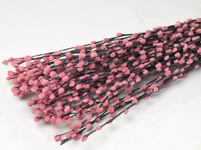 Dried Pussy Willow 70cm Pink 50pcs